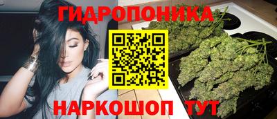 мдпв Дубна
