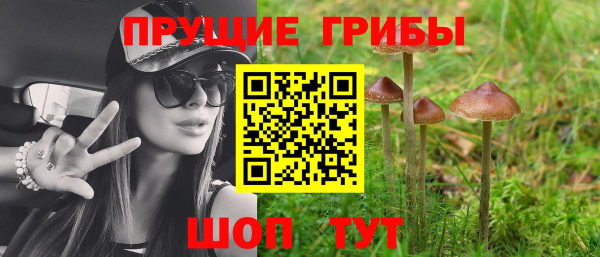 Михайловск  Псилоцибиновые грибы мухоморы  Вход с VPN 