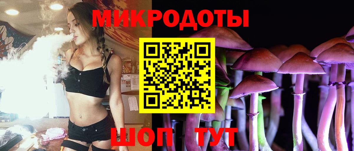 Псилоцибиновые грибы прущие грибы Михайловск
